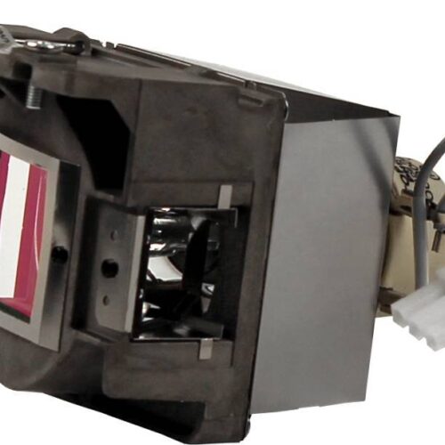 Optoma DW343 Projector (Lamp with Housing)