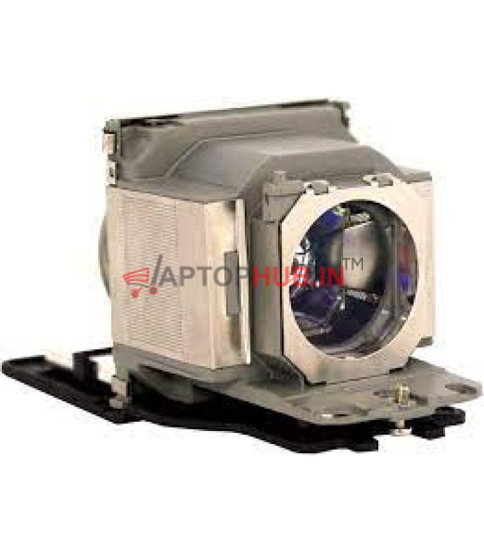 Sony LMP-D213 Projector Lamp with Housing